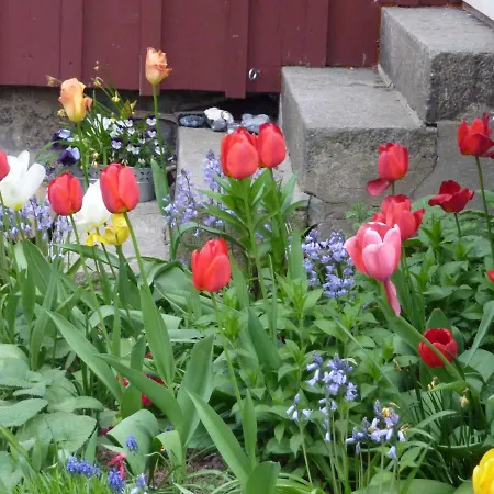 Taubenschlag Fewo 2 Friedrichsbrunn